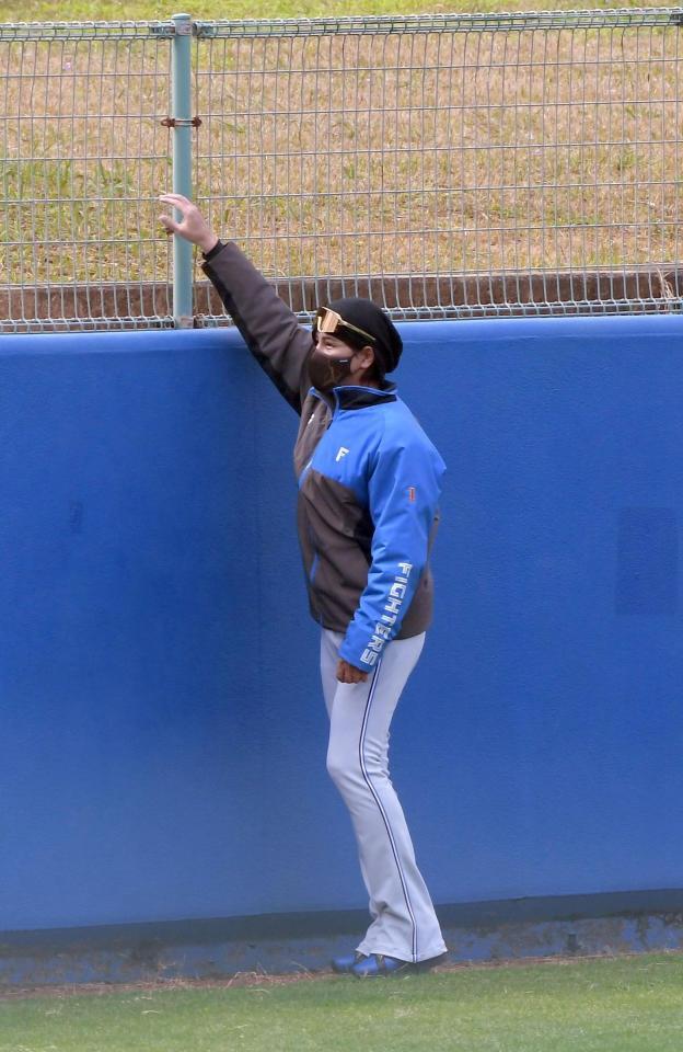 　外野フェンスをチェックする新庄監督（撮影・佐藤厚）