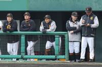 　ベンチからグラウンドを見つめる阿部監督（撮影・市尻達拡）