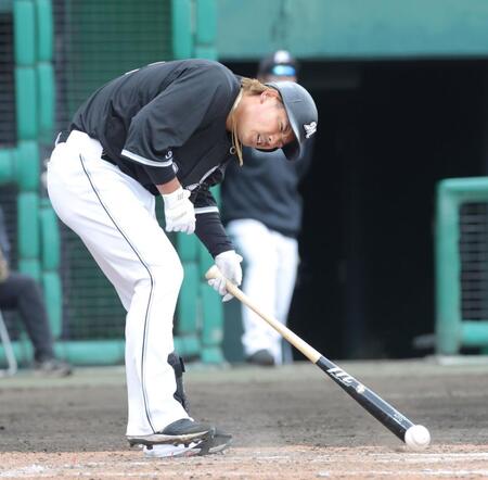 　８回、死球に顔をゆがめる愛斗（撮影・西岡正）