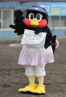 　ヤクルトＯＢの坂口智隆氏へのメッセージを掲げるつばみ