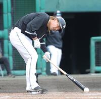 　８回、死球に顔をゆがめる愛斗（撮影・西岡正）