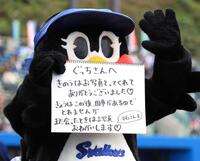 　イニング間にフリップトークを行うつばみ（撮影・吉澤敬太）