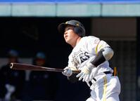 　韓国ロッテとの練習試合で本塁打を放つ井上