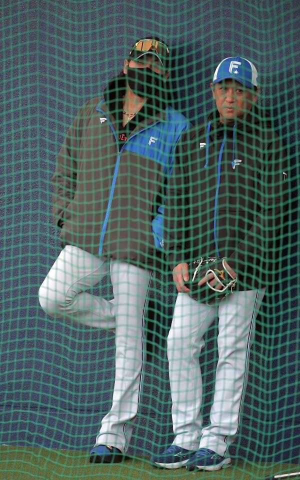 　古林睿煬の投球を見る新庄監督（撮影・佐藤厚）