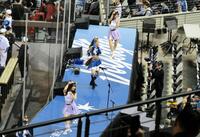 　一塁ベンチ上できつねダンスを披露するファイターズガール