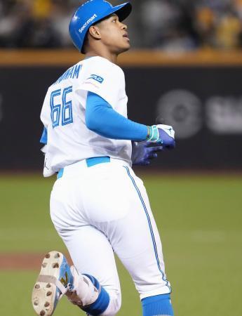 　２回、先制３ランを放ち打球を見つめる日本ハム・万波＝台北ドーム（共同）