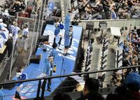 　一塁ベンチ上のステージで応援するファイターズガールら＝１日