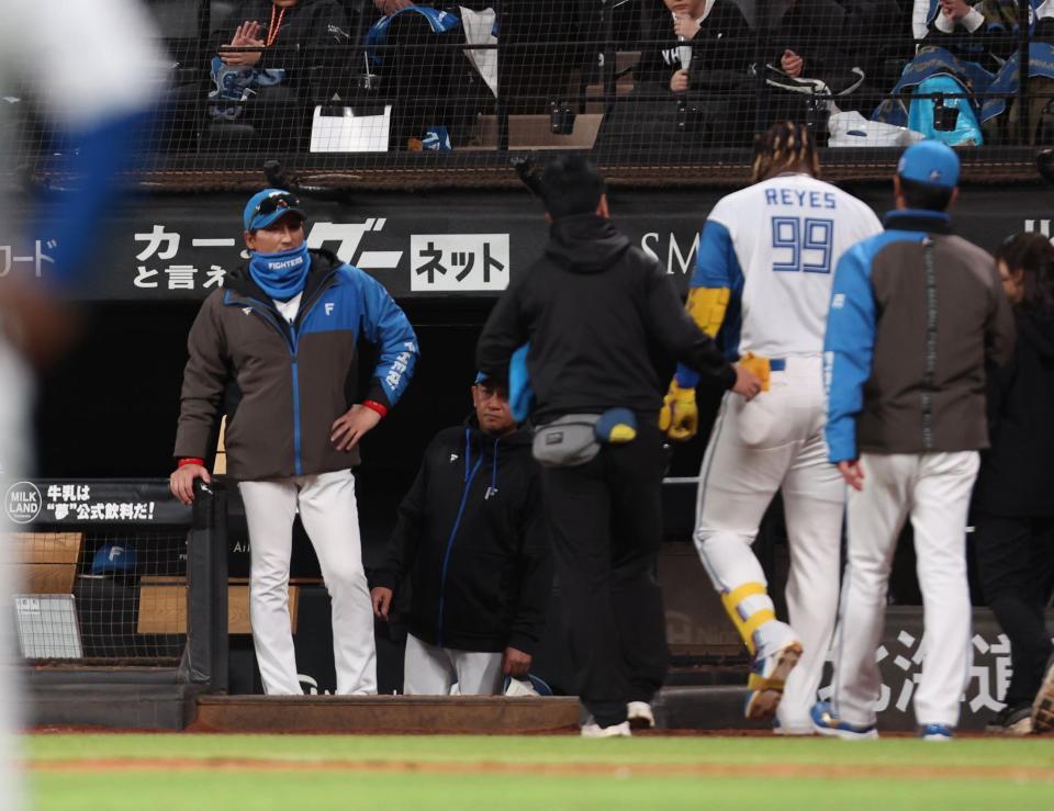 　８回、死球を受け、ベンチに戻るレイエス（９９）を心配そうに見つめる新庄監督（左）＝撮影・中島達哉