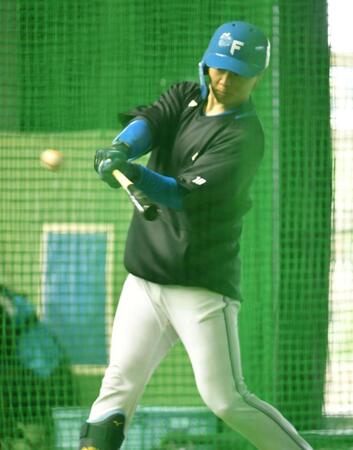 　室内で打撃練習する山崎＝２月９日