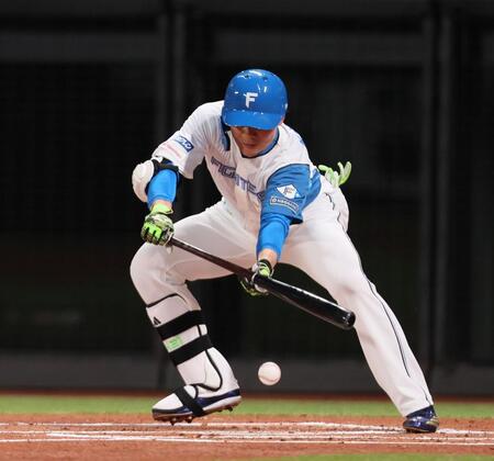 　１回、送りバントを試みる清宮（撮影・中島達哉）