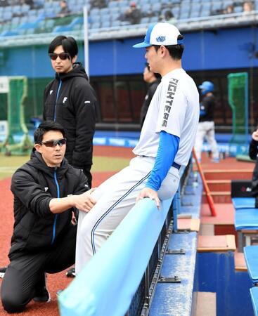 　右ひざの状態を確認する清宮幸（撮影・佐藤厚）