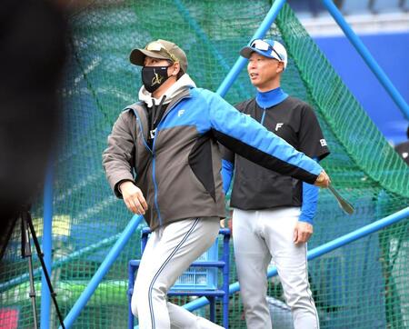 　ノックを打つ新庄監督（撮影・佐藤厚）