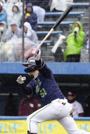 　５回、適時打を放つヤクルト・浜田＝静岡