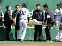 　２回、中山の邪飛を追ってフェンスに激突し、担架で運ばれる三塁手栗原