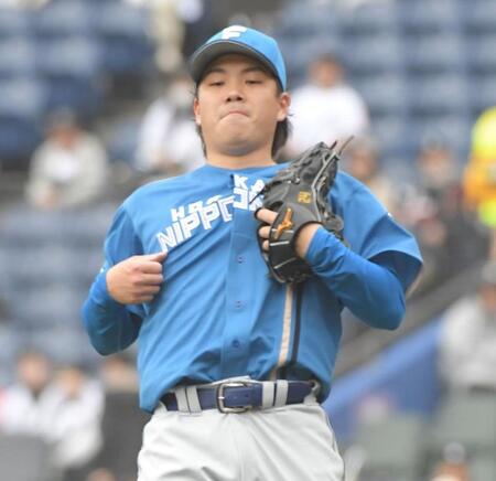 　先発で５回を投げ、６安打３失点の金村（撮影・佐藤厚）