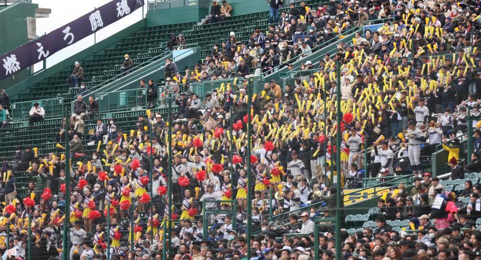 　１回、盛り上がるアルプススタンドの横浜応援団（撮影・北村雅宏）