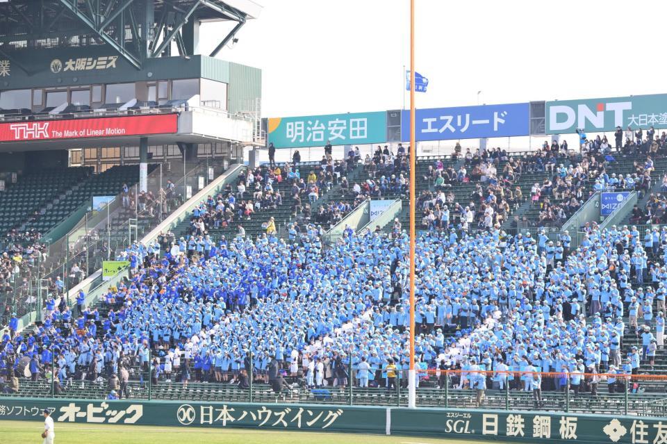 　声援を送る横浜清陵のアルプススタンド（撮影・西田忠信）