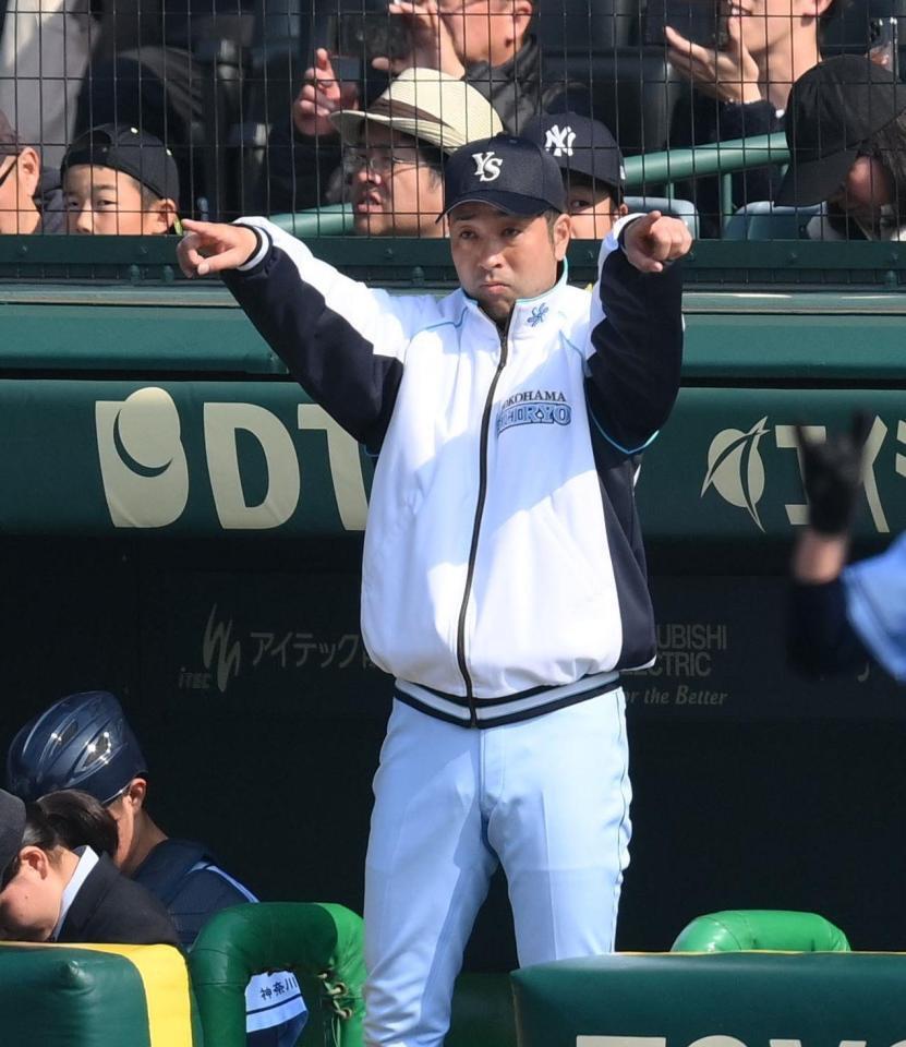 　３回、指示を出す横浜清陵・野原慎太郎監督（撮影・西田忠信）