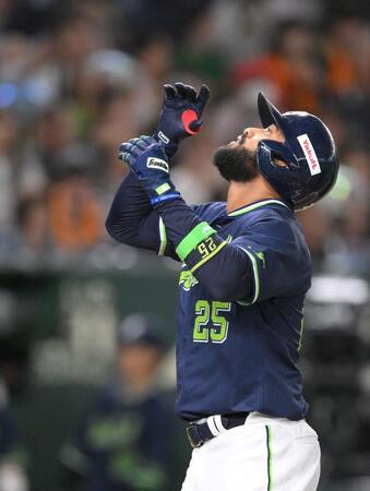 　６回、左越えソロを放ち、天を見上げるサンタナ（撮影・伊藤笙子）