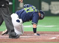 　３回、自打球を足に当て倒れる中村悠（撮影・伊藤笙子）