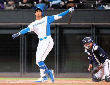 　７回、空振り三振を喫する万波（撮影・中島達哉）