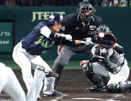 　８回、犠打を決める高橋（撮影・中田匡峻）