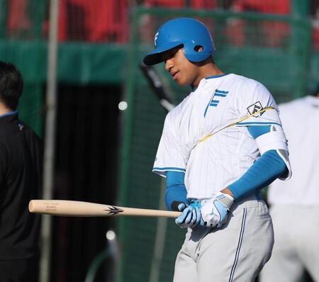 　“魚雷バット”を手にする万波（撮影・金田祐二）