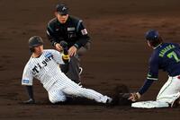 　１回、近本は盗塁を狙うもタッチアウトになる（撮影・山口登）