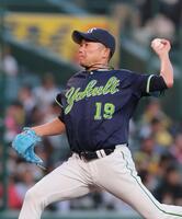 　力投する石川（撮影・北村雅宏）