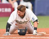 　１１回、死球を受け倒れ込む頓宮（撮影・西田忠信）