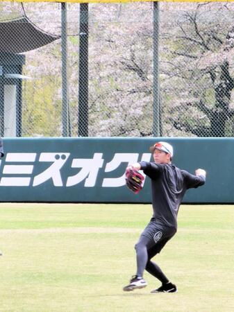 　満開の桜をバックに今季初勝利へ向けて最終調整を行った戸郷
