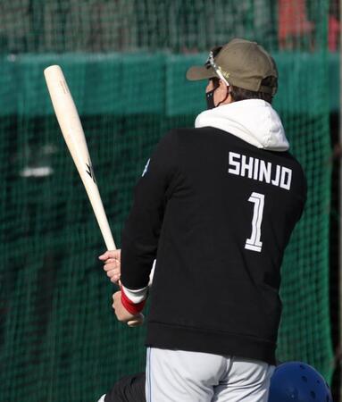 ＮＰＢ　魚雷バットは「安全性も含めてまったく問題ない」承認の過程は？