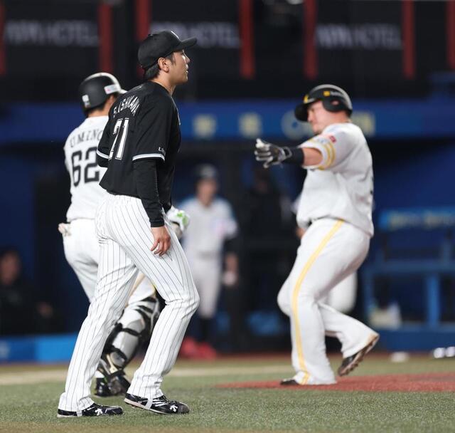 山川選手侍ジャパン支給品ハーフパンツ
