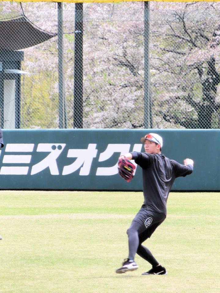　満開の桜をバックに今季初勝利へ向けて最終調整を行った戸郷