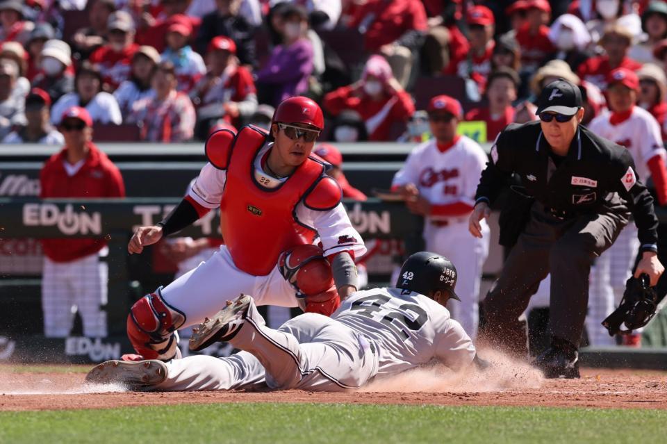 　４回、重盗で本塁を狙うが、タッチアウトになるヘルナンデス（撮影・市尻達拡）