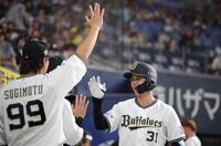 　６回、太田は右越えに本塁打を放ち、ベンチで杉本（９９）らナインに迎えられる（撮影・坂部計介）