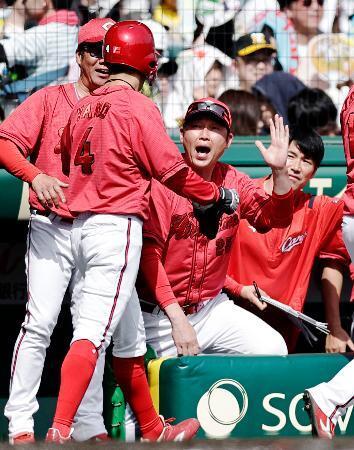 　２回、羽月の２点打で生還した矢野（４）を迎える広島・新井監督（右から２人目）＝甲子園