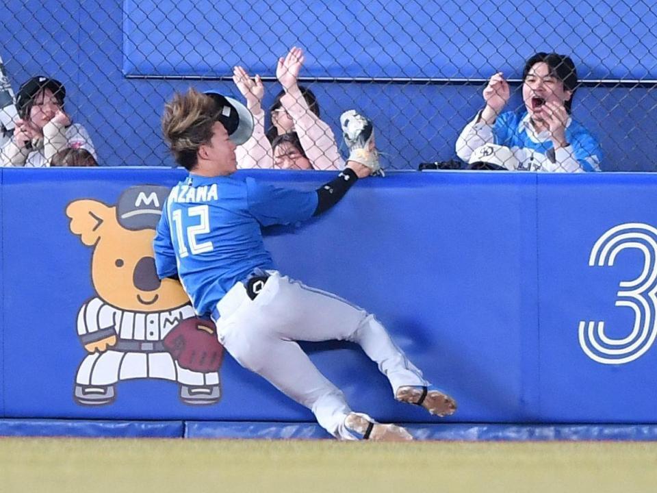 　フェンスに激突する矢沢＝１６日