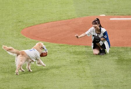 　ファーストピッチセレモニーでボール犬を迎えるモーニング娘。’２５・牧野真莉愛（撮影・中島達哉）