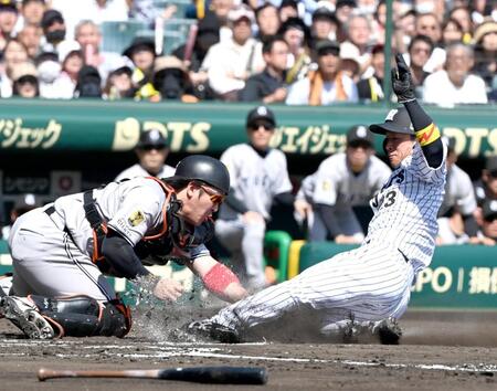 　１回、大山の左前打で生還する二走近本。捕手甲斐