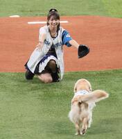 　ファーストピッチセレモニーでボール犬（手前）を迎えるモーニング娘。’２５・牧野真莉愛（撮影・中島達哉）