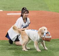 　モーニング娘。’２５・牧野真莉愛（左）がボールをもらおうとしたら引き返すボール犬（撮影・中島達哉）