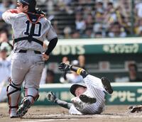 　１回、大山の適時打で生還する近本（撮影・田中太一）