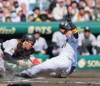 　１回、大山の先制適時打で生還する近本（撮影・北村雅宏）