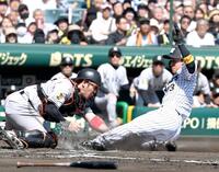 　１回、大山の左前打で生還する二走近本。捕手甲斐