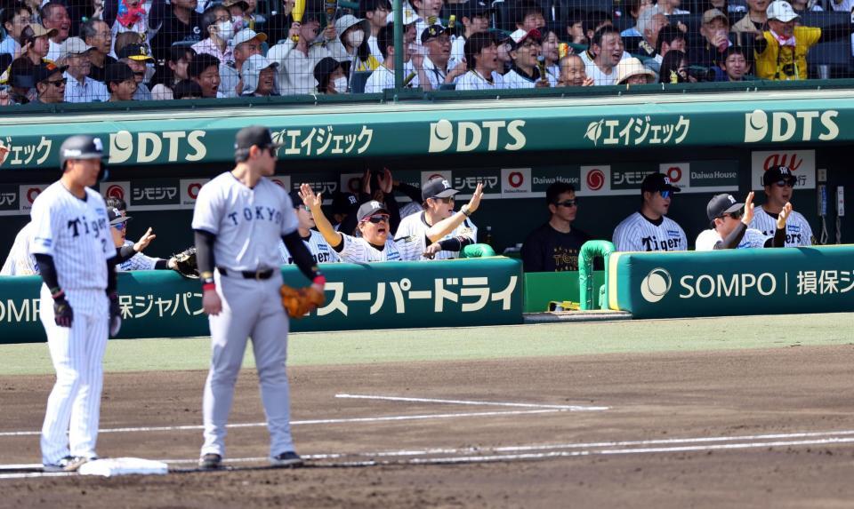 　１回、大山の左前打で近本の本塁生還がリプレイ検証となるも判定通りになり喜ぶ阪神ナイン（撮影・山口登）