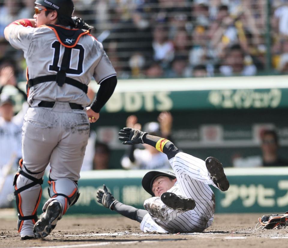 　１回、大山の適時打で生還する近本（撮影・田中太一）