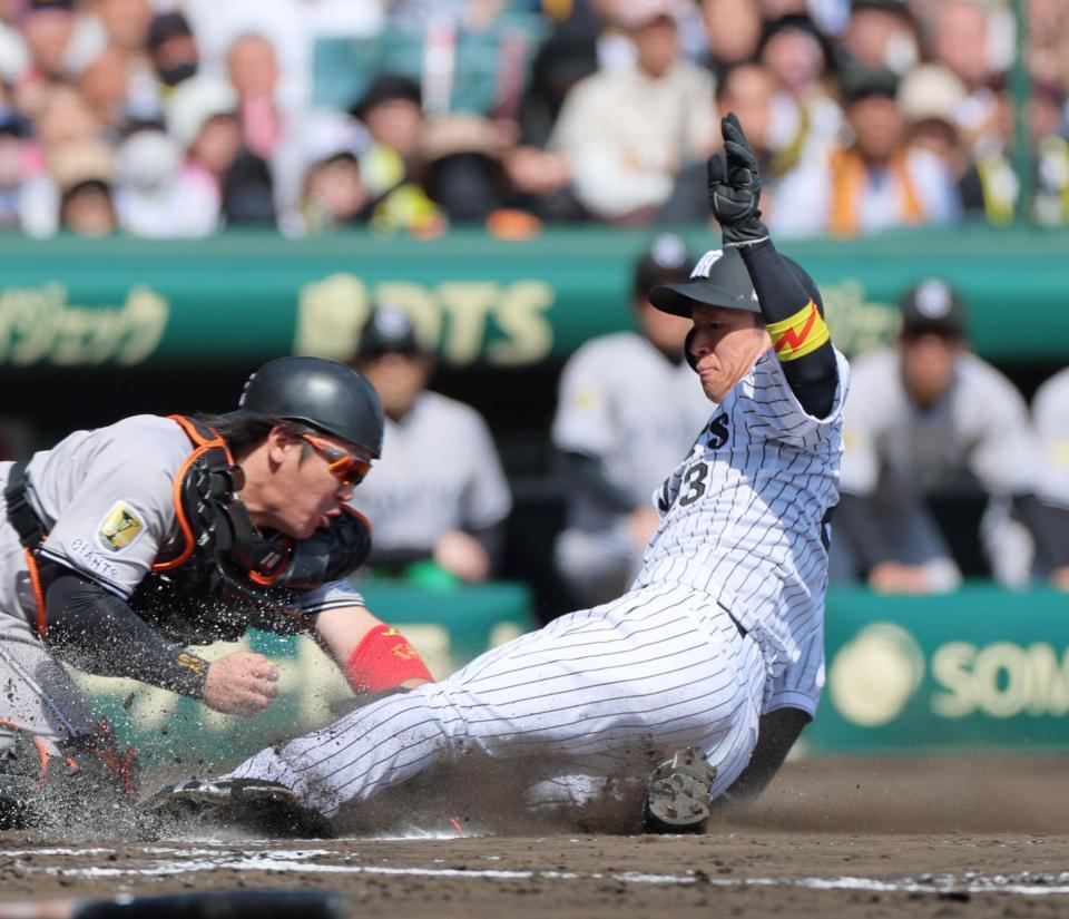 　１回、大山の先制適時打で生還する近本（撮影・北村雅宏）