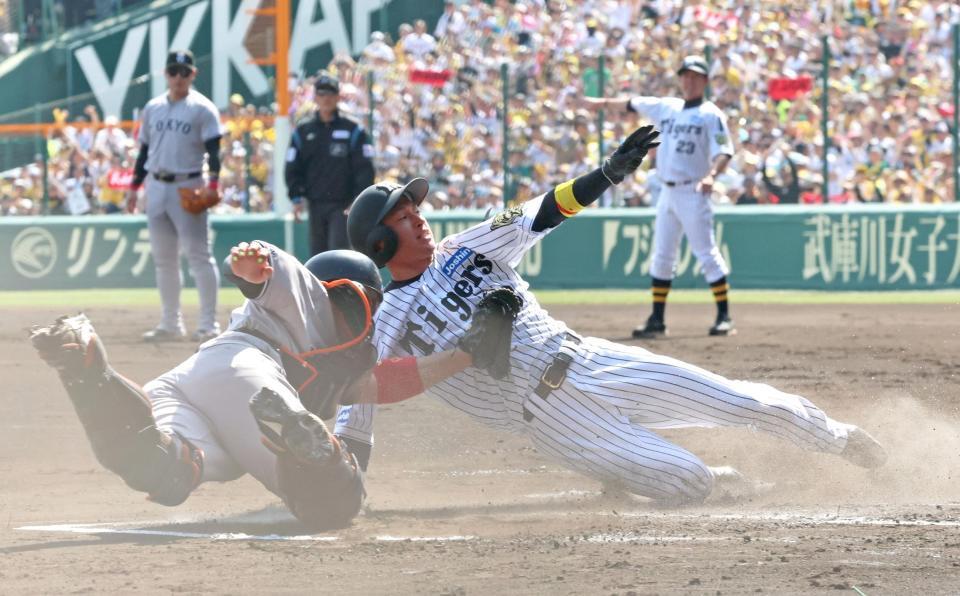 　１回、大山の適時打で生還する近本（撮影・立川洋一郎）