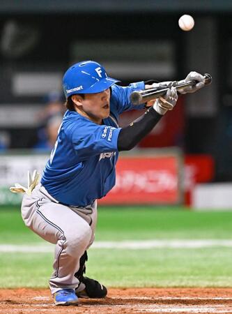 　７回、伏見がスクイズを試みるが一邪飛に倒れる＝共同